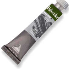 Краска акриловая Maimeri Polycolor 20 мл Cеро-зеленый 298